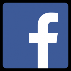 Facebook Original Logo Icon